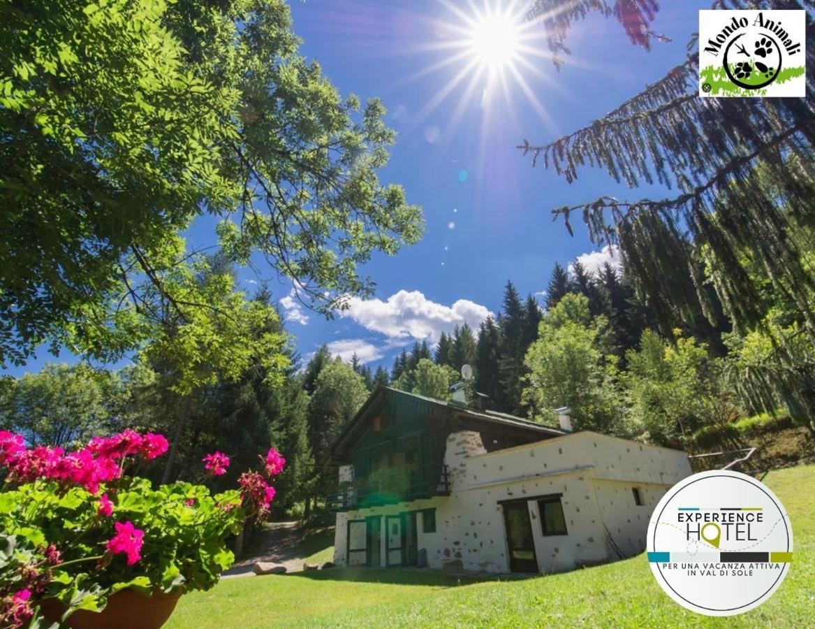 La Locanda Delle Pulci Bio Welness Mezzana  Exterior foto