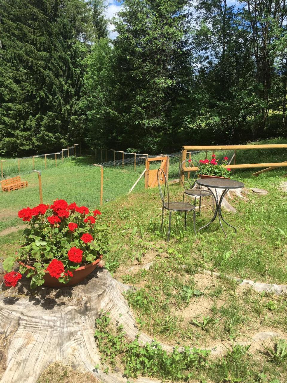 La Locanda Delle Pulci Bio Welness Mezzana  Exterior foto